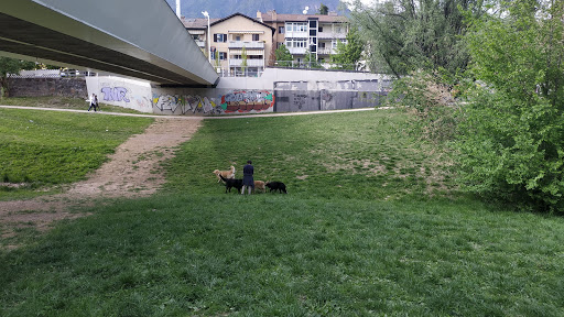 Hundepark Eisackufer - Thumbnail