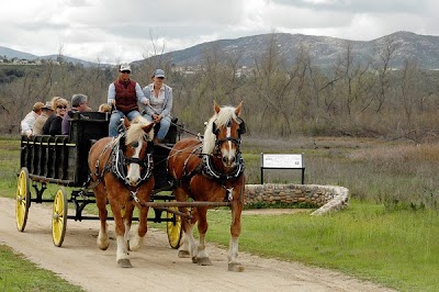 San Diego Beach Rides, Horse Rentals & Wagon Rides