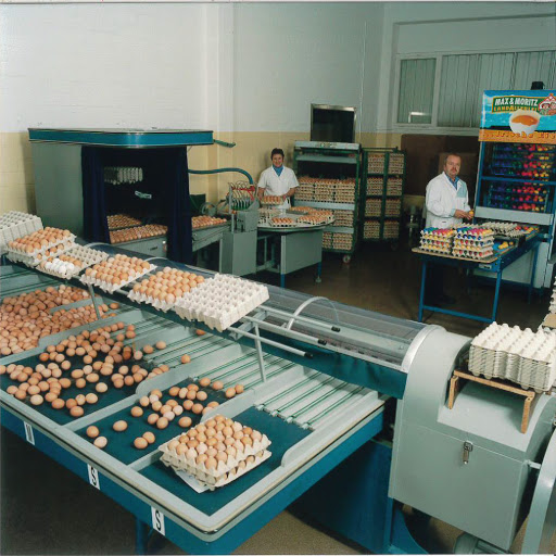 Max & Moritz Landallerlei GmbH - Thumbnail