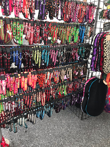 Cavanaugh's Collars - Visual