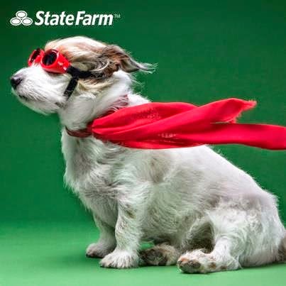 Matt Heath - State Farm Insurance Agent - Thumbnail