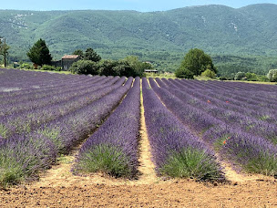 Photo n°28 de Gîtes Bonaventure à Viens (Chambre d'hôtes)