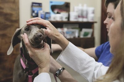 Photos of Sango Veterinary Hospital