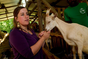 Photo n°12 de Camping Lou Cornal à Saint-Pierre-de-Clairac (Terrain de camping)
