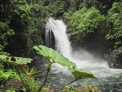 Photos of Talamanca Reserve
