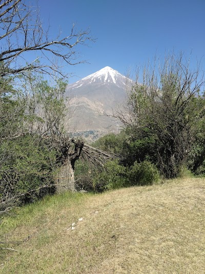 Photos of Azoo