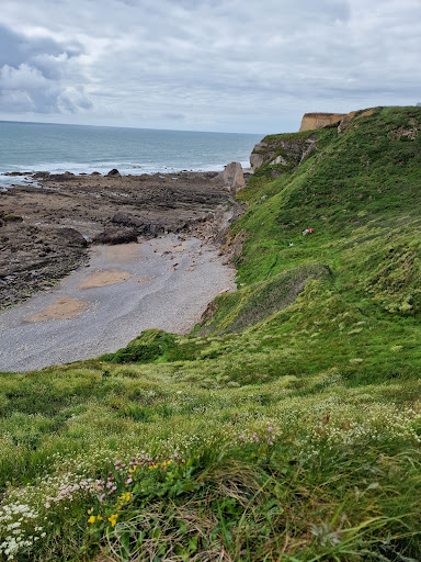 Imogen Cove Beach