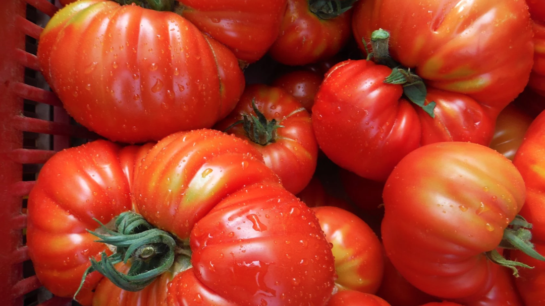 Bonnet Tomate Rouge