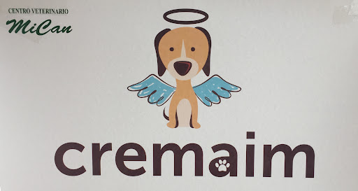 CreMaim - Visual