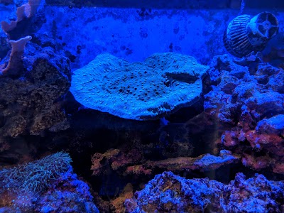 Aquarium Specialties & Research Center