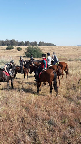 South Stables