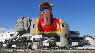 Photos of Lucy the Elephant