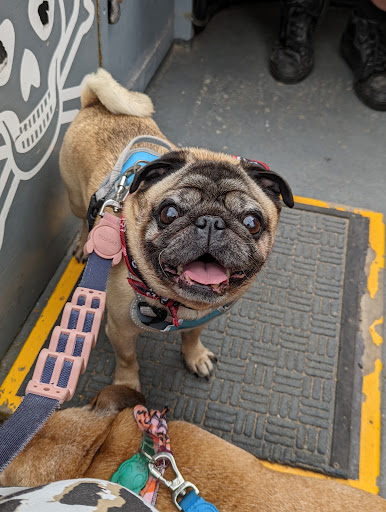 Church Walk Veterinary Centre - Ulverston Gallery - United Kingdom