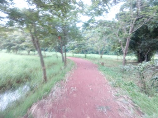 Gampaha Oruthota Walkway, Author: Nimal Kumara