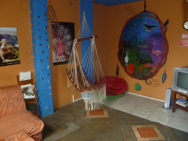 Dreamkapture Hostel