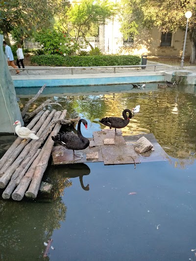 Photos of Pozzallo