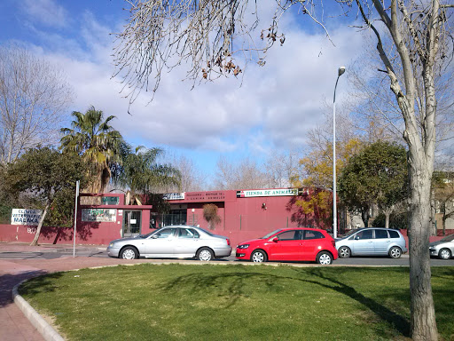 Parque Canino Escuela Canina Municipal