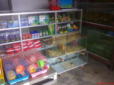 Photos of Pengadilan Negeri Mataram