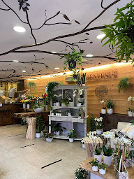 Photo n°1 de Hanau Fleurs à Bouxwiller (Boutique de cadeaux)