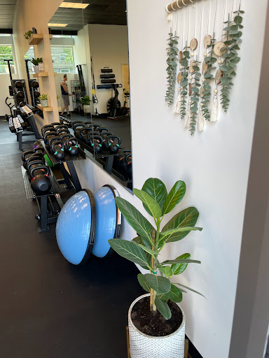 Live Fit Studios - Visual
