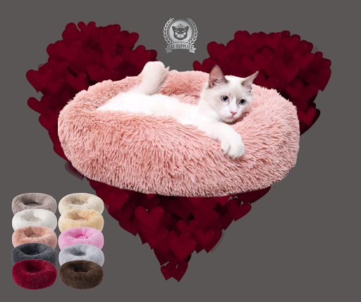 Premium Cat Supplies - Thumbnail