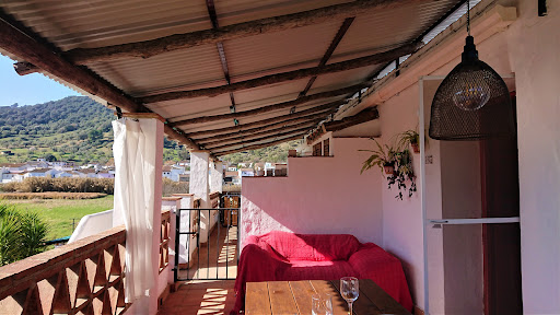 Finca La Rana Verde