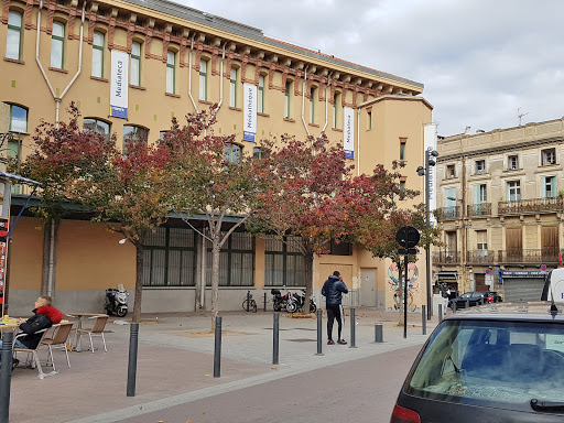Médiathèque Centrale De Perpignan - Thumbnail