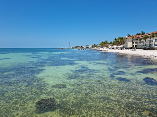 Higgs Beach - Visual