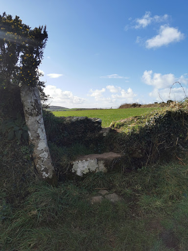 Brane Cross - Visual