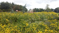 Bloomiehall Park edinburgh