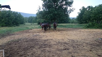 Photos of Konjicki Klub Split