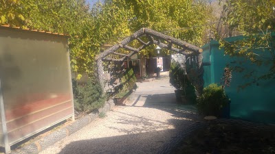 Photos of مجموعه گلبرگ سفيد