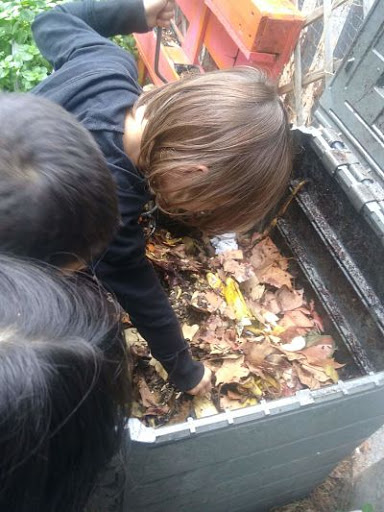 Ekaia Eko Compost - Visual