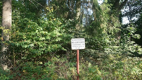 Aktyvus laisvalaikis