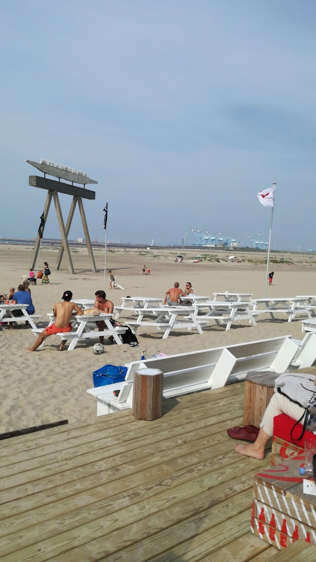 Icarus Surfclub
