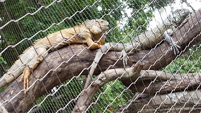 Photos of Alameda Wildlife Park