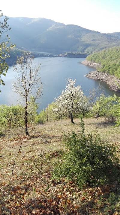 Photos of Smest