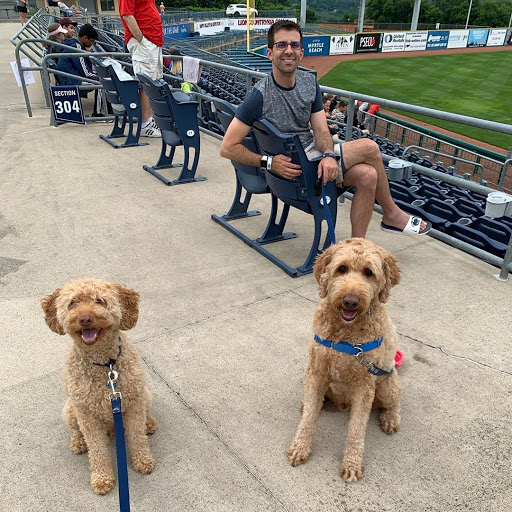 Medlar Field - Thumbnail