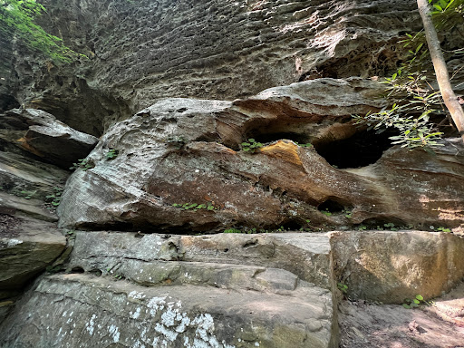 Natural Bridge Trailhead Parking Gallery - United States