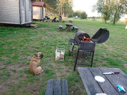 Tammispää Camping