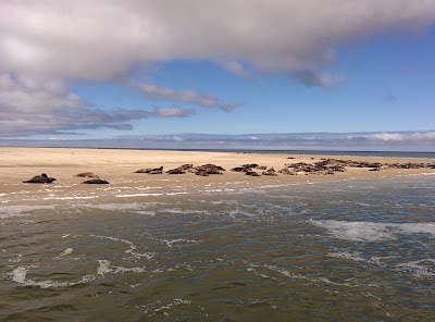 Photos of Talisman Seal Trips Terschelling