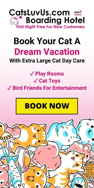 Cats Luv Us Google Business photo