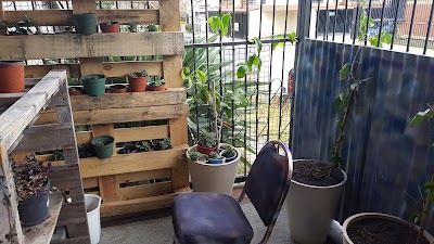 Photos of Akua Floral Studio