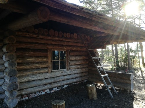 RMK Kalurikoja metsaonn