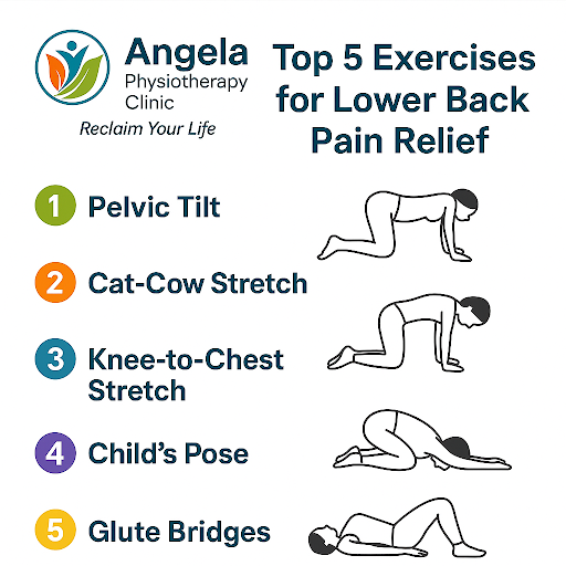 🧘 Top 5 Exercises for Lower Back Pain Relief, By Angela Physiotherapy Clinic post image