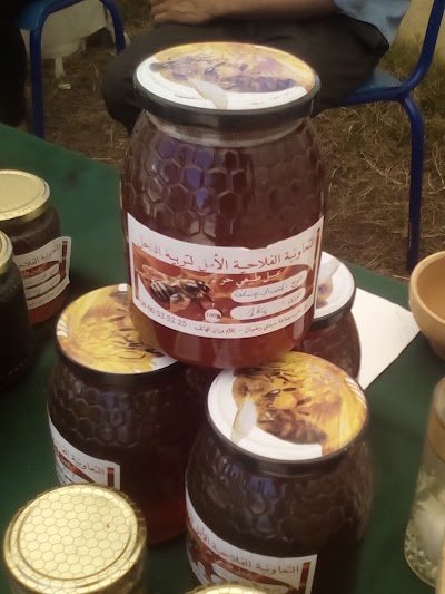 Photos of تعاونية الأمل الفلاحية لتربية النحل وإنتاج وتسويق العسل