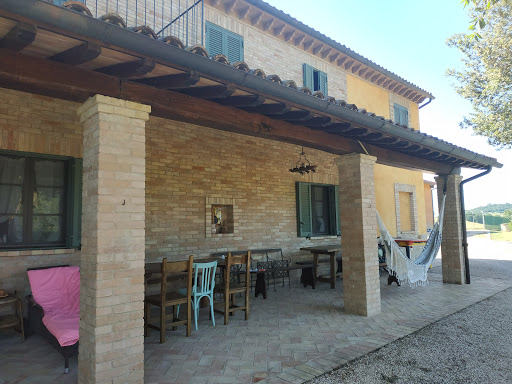 Todi Truffle - Thumbnail