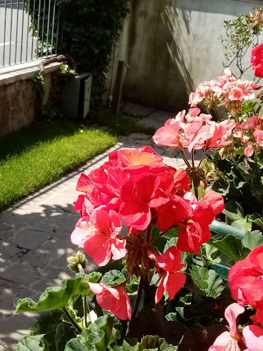 dimensione verde srls - Visual