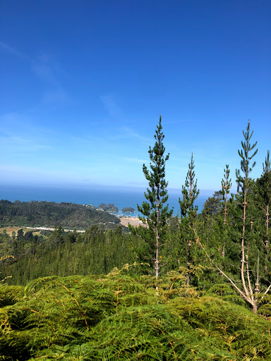 Kaiteriteri Mountain Bike Park - Thumbnail