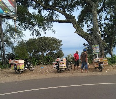 Photos of Terminal Bus Colo